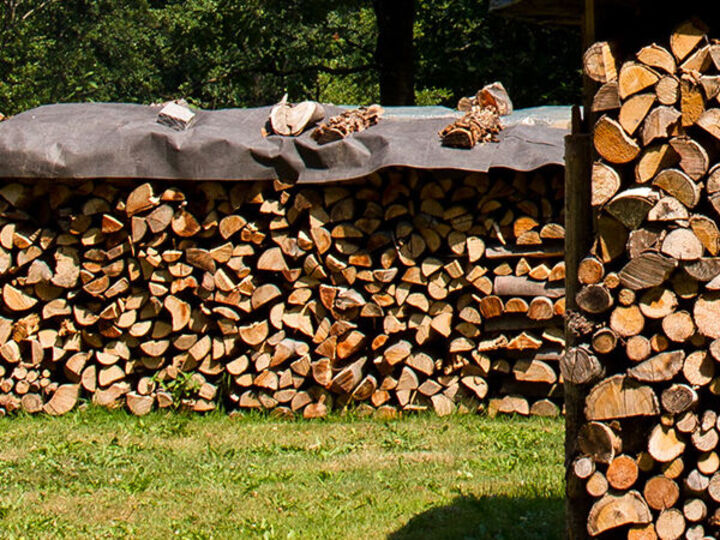 Gestapeltes Holz auf einer Wiese