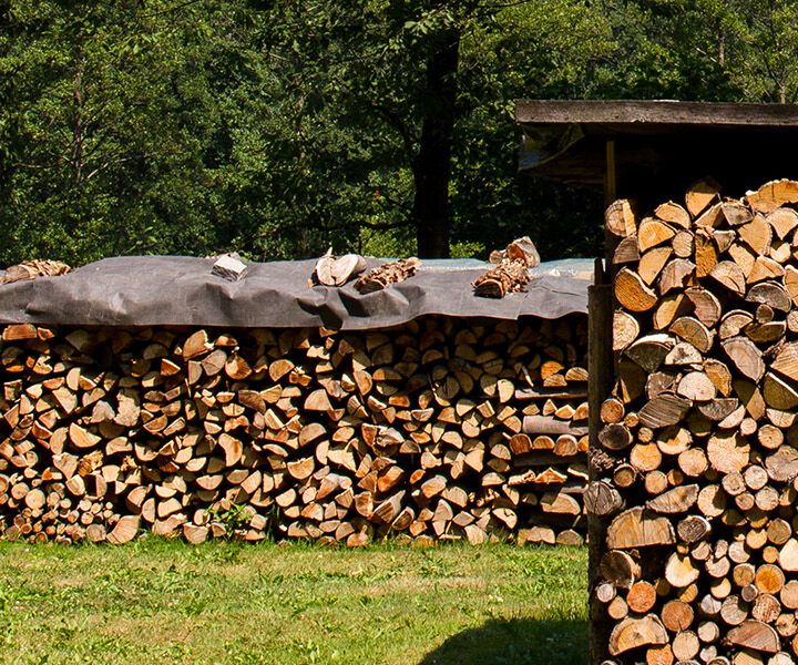 Gestapeltes Holz auf einer Wiese