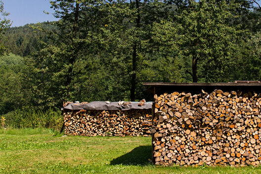 Holz vor Bäumen aufgestapelt